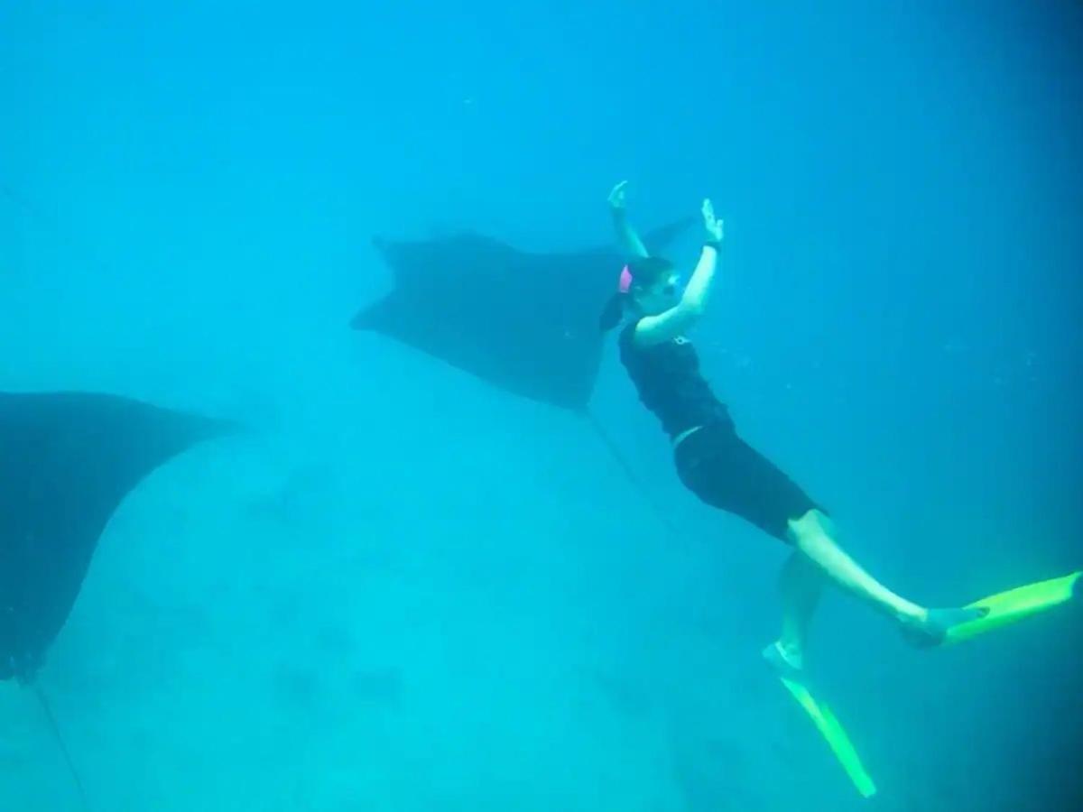 White Sandy Beach-Best Manta Snorkeling Tethi Luaran gambar