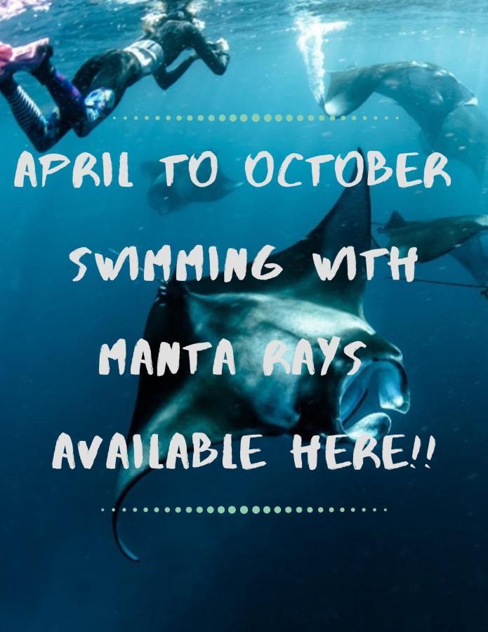 White Sandy Beach-Best Manta Snorkeling Tethi Luaran gambar